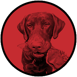 Website Image Logo for Lampy do Kuchni ścienne wiszące stołowe podłogowe Salon Sypialnia Jadalnia